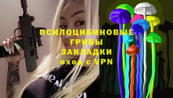 гашик Баксан