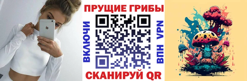 нарко площадка наркотические препараты  Таштагол  Галлюциногенные грибы MAGIC MUSHROOMS 