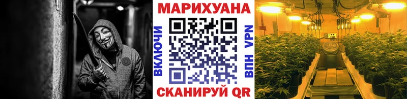 MEGA зеркало купить наркотики цена Таштагол Бошки марихуана планчик